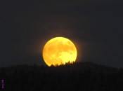 SuperMoon